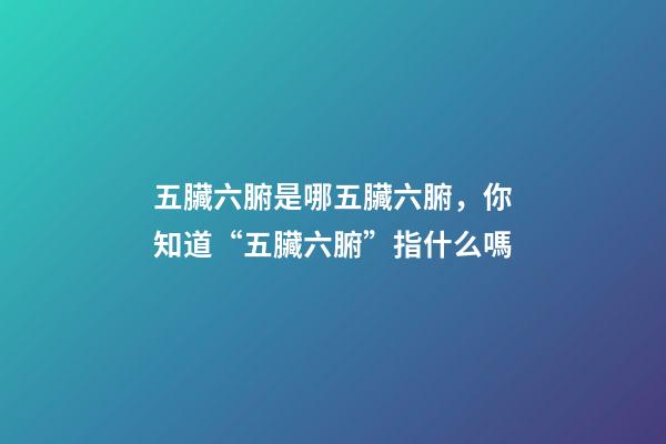 五臟六腑是哪五臟六腑，你知道“五臟六腑”指什么嗎-第1張-觀點-玄機派