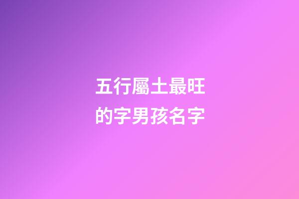 五行屬土最旺的字男孩名字(五行屬土最吉利男孩的字)-第1張-男孩起名-玄機派