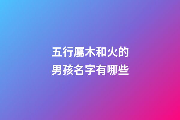 五行屬木和火的男孩名字有哪些(五行屬木屬火的名字男孩名字)-第1張-男孩起名-玄機(jī)派