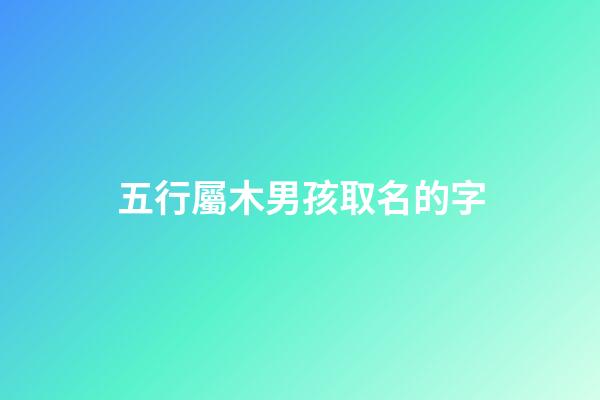 五行屬木男孩取名的字(五行屬木男孩取名的字大全)-第1張-男孩起名-玄機派