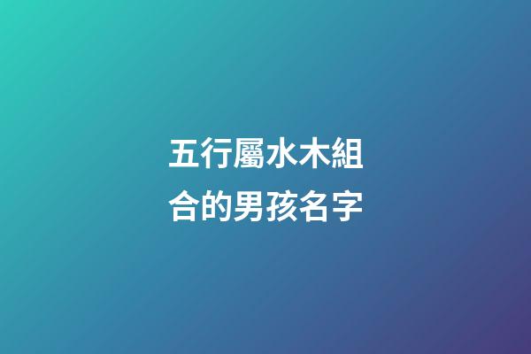 五行屬水木組合的男孩名字(五行屬水屬木的字男孩用名組合)-第1張-男孩起名-玄機(jī)派