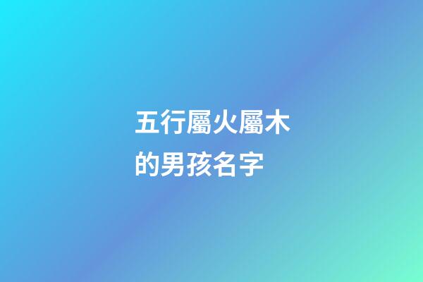 五行屬火屬木的男孩名字(五行屬火帶木的字男孩用寓意好的字)-第1張-男孩起名-玄機(jī)派