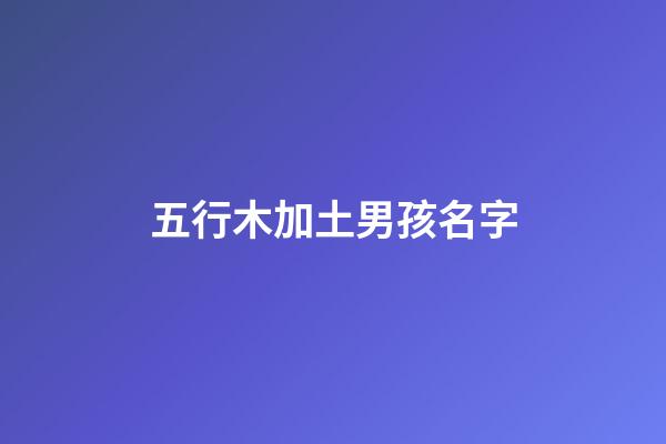五行木加土男孩名字(五行木加土男孩名字怎么取)-第1張-男孩起名-玄機派