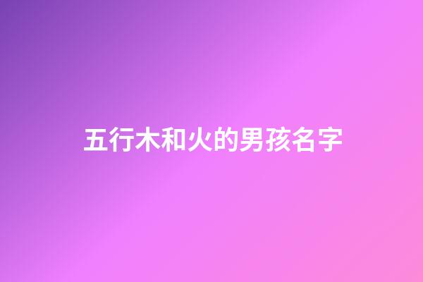 五行木和火的男孩名字(五行帶木和火的男孩小名)-第1張-男孩起名-玄機派