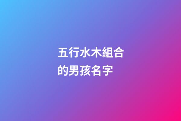 五行水木組合的男孩名字(五行水木組合的男孩名字2023)-第1張-男孩起名-玄機派