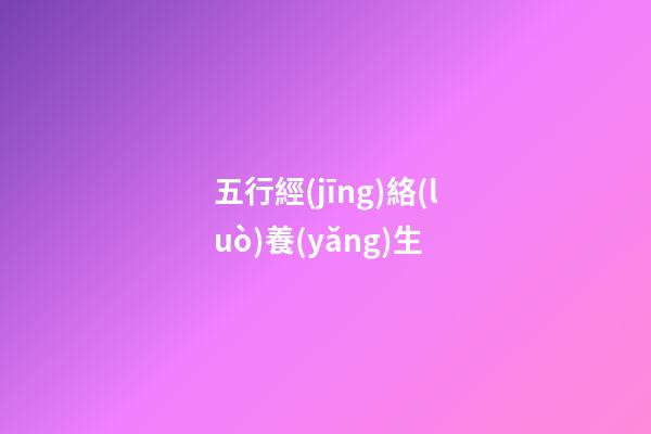 五行經(jīng)絡(luò)養(yǎng)生