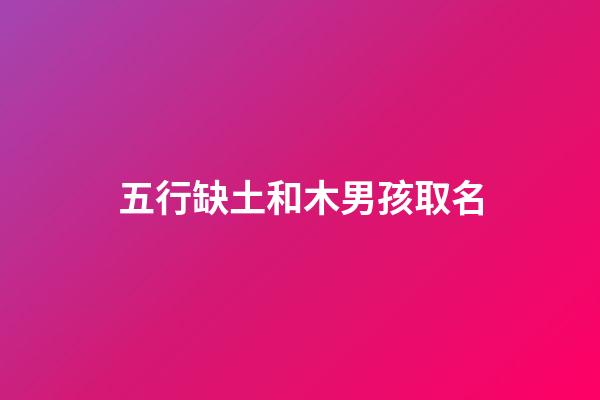 五行缺土和木男孩取名(五行缺土和木男孩的乳名的字)-第1張-男孩起名-玄機派