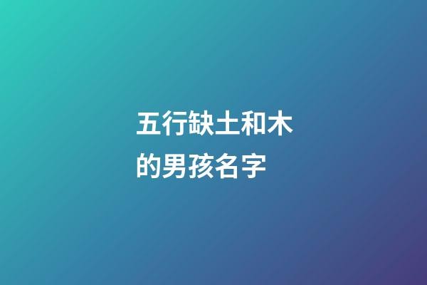 五行缺土和木的男孩名字(五行缺土和木的男孩名字大全)-第1張-男孩起名-玄機派