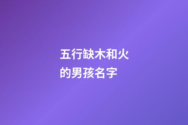 五行缺木和火的男孩名字(五行缺木火的男孩名字屬虎怎么取)-第1張-男孩起名-玄機派