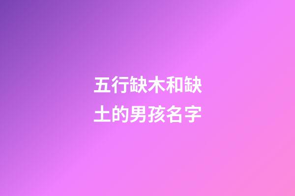五行缺木和缺土的男孩名字(五行缺木和缺土的男孩名字一樣嗎)-第1張-男孩起名-玄機派