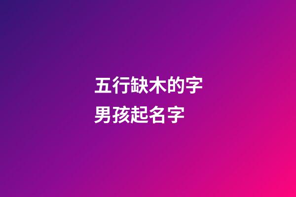 五行缺木的字男孩起名字(五行缺木的字男孩起名字大全)-第1張-男孩起名-玄機(jī)派