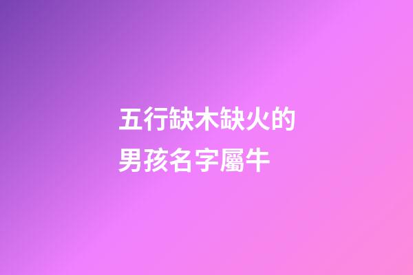 五行缺木缺火的男孩名字屬牛(缺火缺木牛寶寶名字)-第1張-男孩起名-玄機(jī)派