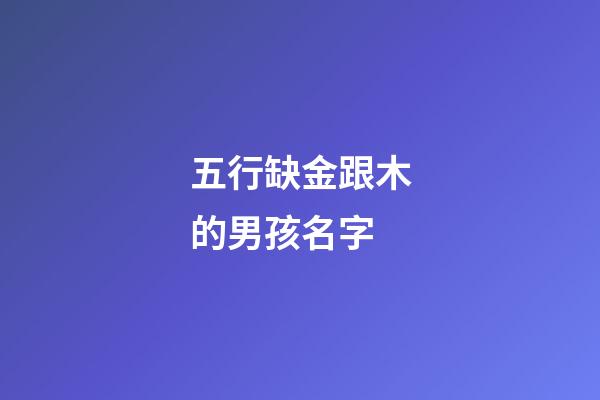 五行缺金跟木的男孩名字(缺金和木的名字男孩)-第1張-男孩起名-玄機(jī)派