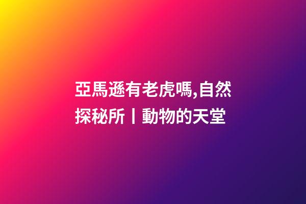 亞馬遜有老虎嗎,自然探秘所丨動物的天堂-第1張-觀點-玄機派