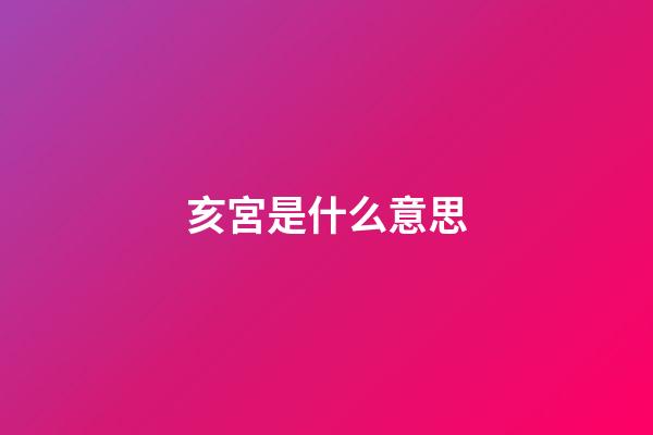 亥宮是什么意思