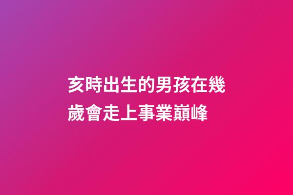 亥時出生的男孩在幾歲會走上事業巔峰