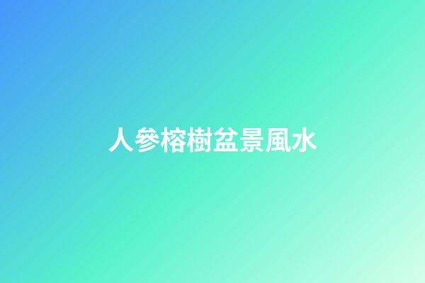 人參榕樹盆景風水
