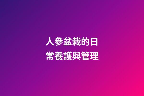 人參盆栽的日常養護與管理