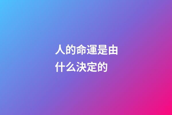 人的命運是由什么決定的