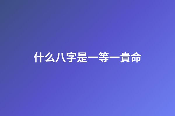 什么八字是一等一貴命