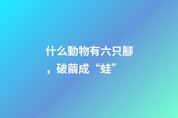 什么動物有六只腳，破繭成“蛙”