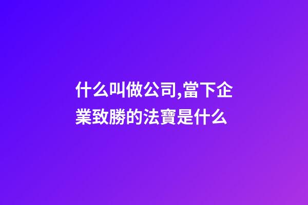 什么叫做公司,當下企業致勝的法寶是什么-第1張-觀點-玄機派