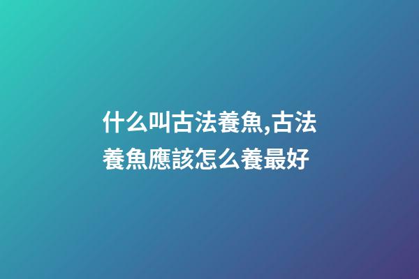 什么叫古法養魚,古法養魚應該怎么養最好-第1張-觀點-玄機派