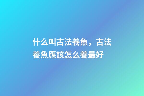 什么叫古法養魚，古法養魚應該怎么養最好-第1張-觀點-玄機派