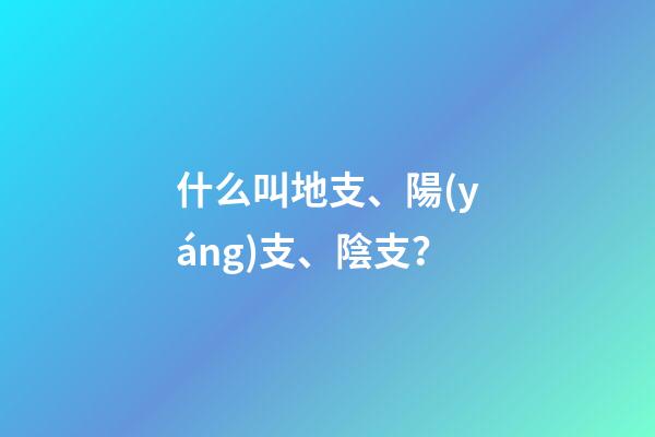 什么叫地支、陽(yáng)支、陰支？