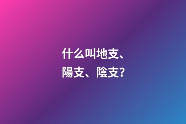 什么叫地支、陽支、陰支？