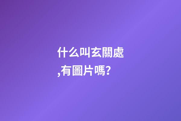 什么叫玄關處,有圖片嗎？