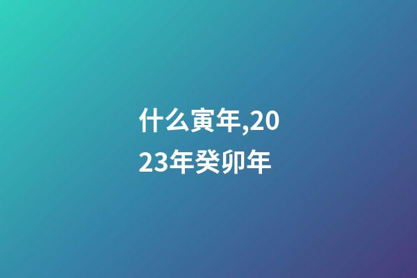 什么寅年,2023年癸卯年-第1張-觀點(diǎn)-玄機(jī)派