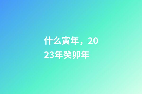 什么寅年，2023年癸卯年