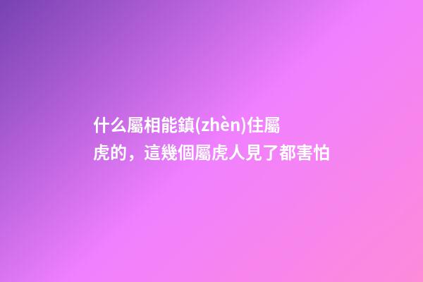 什么屬相能鎮(zhèn)住屬虎的，這幾個屬虎人見了都害怕