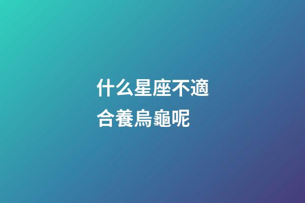 什么星座不適合養烏龜呢-第1張-星座運勢-玄機派