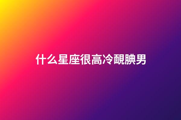 什么星座很高冷靦腆男-第1張-星座運勢-玄機派