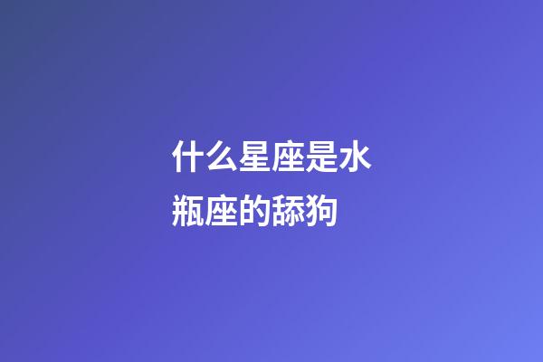 什么星座是水瓶座的舔狗-第1張-星座運勢-玄機派