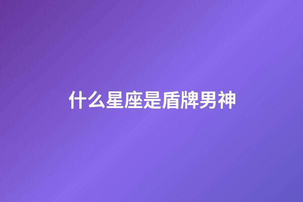 什么星座是盾牌男神