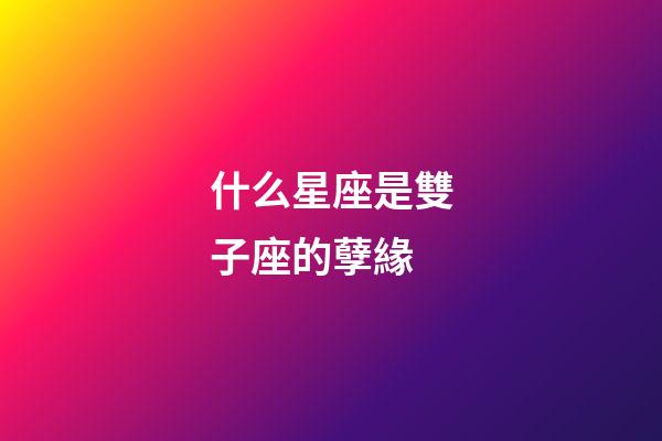 什么星座是雙子座的孽緣-第1張-星座運勢-玄機派