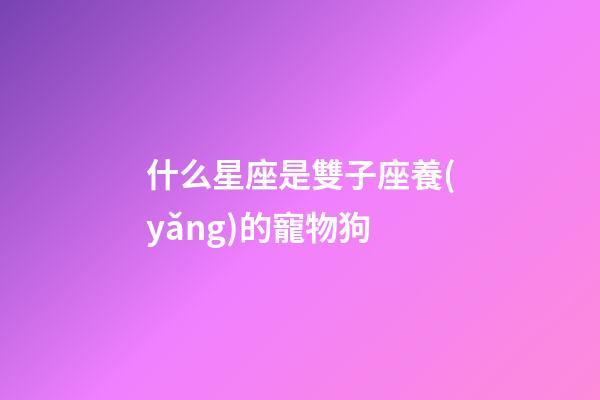 什么星座是雙子座養(yǎng)的寵物狗-第1張-星座運(yùn)勢(shì)-玄機(jī)派