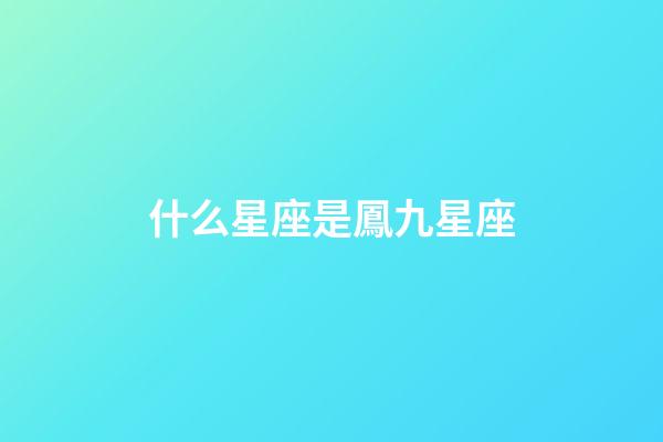 什么星座是鳳九星座-第1張-星座運勢-玄機派