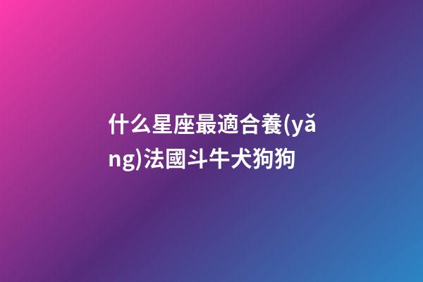 什么星座最適合養(yǎng)法國斗牛犬狗狗-第1張-星座運(yùn)勢-玄機(jī)派