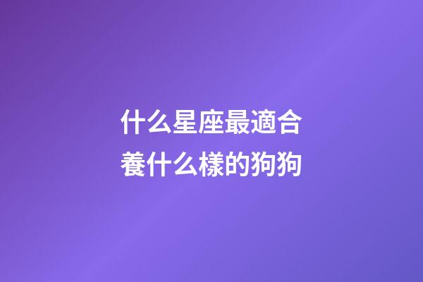 什么星座最適合養什么樣的狗狗-第1張-星座運勢-玄機派