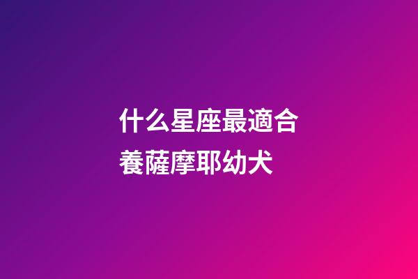 什么星座最適合養薩摩耶幼犬-第1張-星座運勢-玄機派