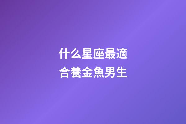 什么星座最適合養金魚男生-第1張-星座運勢-玄機派