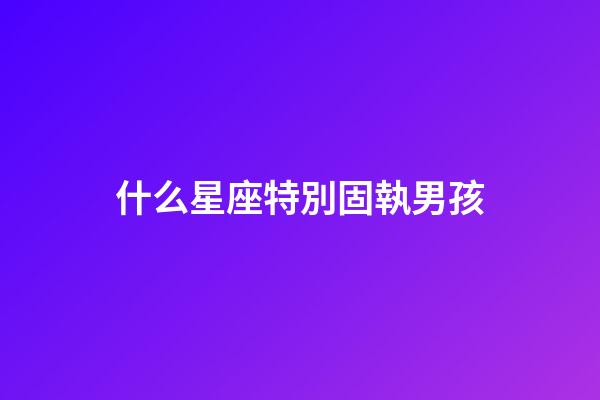 什么星座特別固執男孩-第1張-星座運勢-玄機派