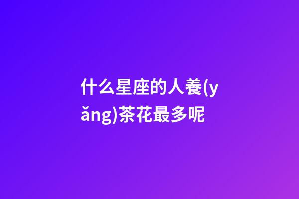 什么星座的人養(yǎng)茶花最多呢