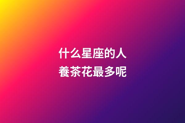 什么星座的人養茶花最多呢-第1張-星座運勢-玄機派