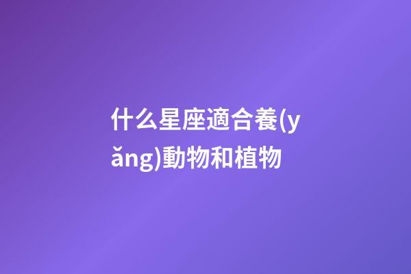 什么星座適合養(yǎng)動物和植物-第1張-星座運勢-玄機派
