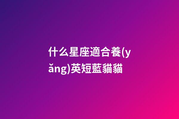 什么星座適合養(yǎng)英短藍貓貓-第1張-星座運勢-玄機派